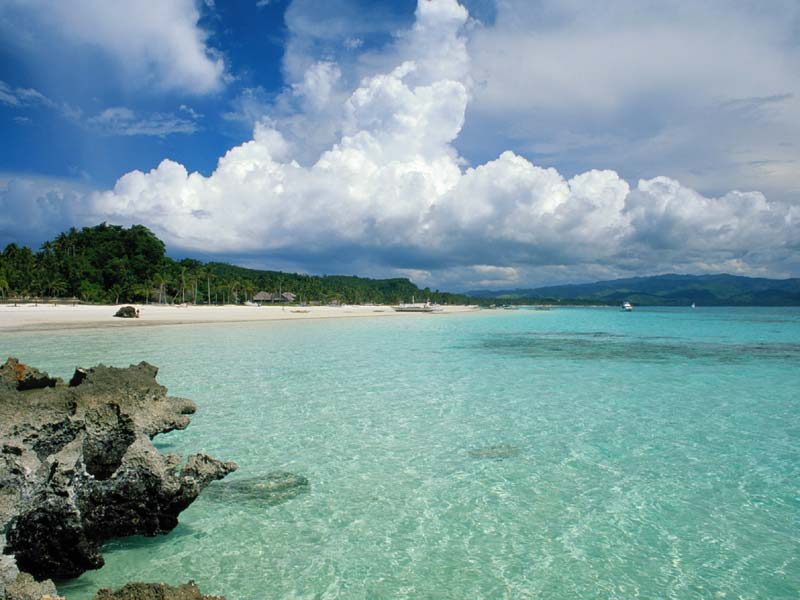 a tropical paradise