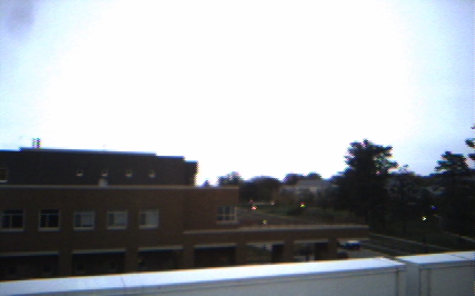 Original Image