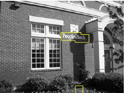 Example Detection Result
