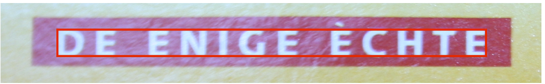Binarized Image
